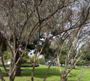 Warner Park Sign at City View Apartments at Warner Center, California