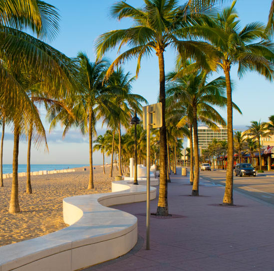 A row of palm trees line a walkway on a beach.