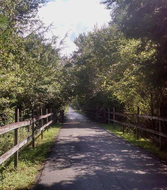 a dirt road with a fence and trees on the side