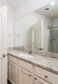 a bathroom with a sink and a mirror and a shower