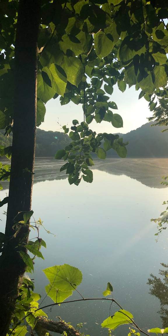 A serene lake is framed by lush green foliage.