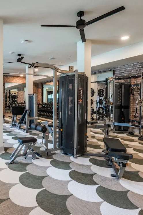 A gym with a variety of equipment including treadmills, weights, and a squat rack.