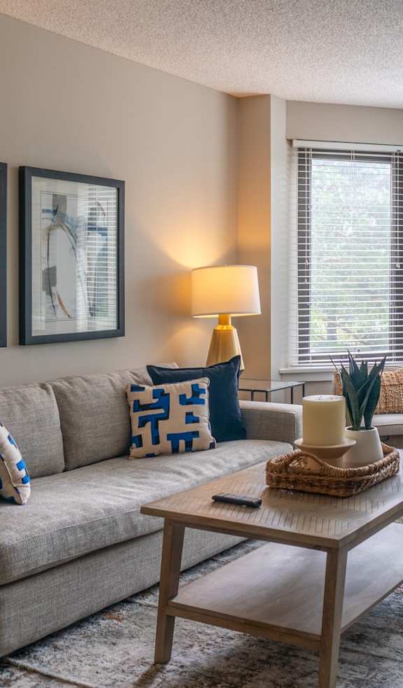 A living room with a grey couch and a patterned rug.