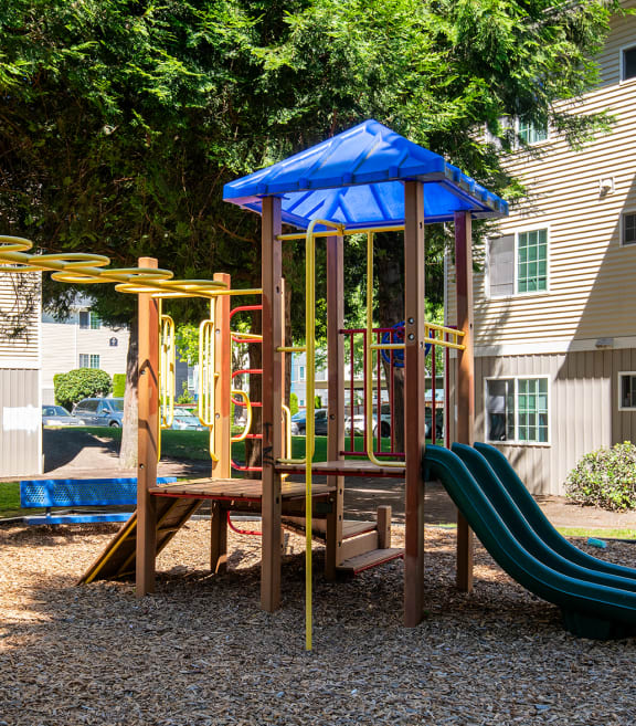 Riverwood playground