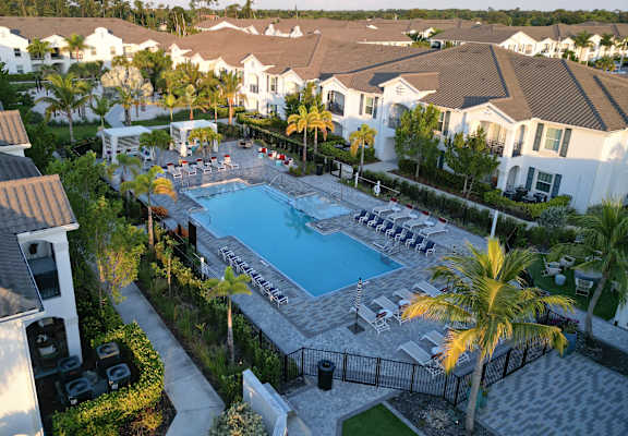 A swimming pool surrounded by palm trees and a gated fence. at The Crest at Naples, Naples, FL, 34113