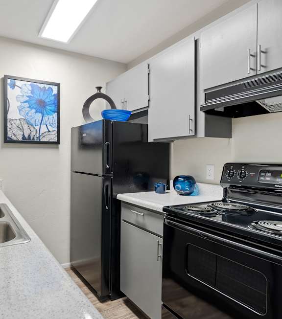 A kitchen with a black refrigerator, stove, and oven.