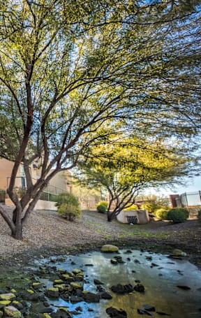 A tree in front of a building with a pond in the foreground.