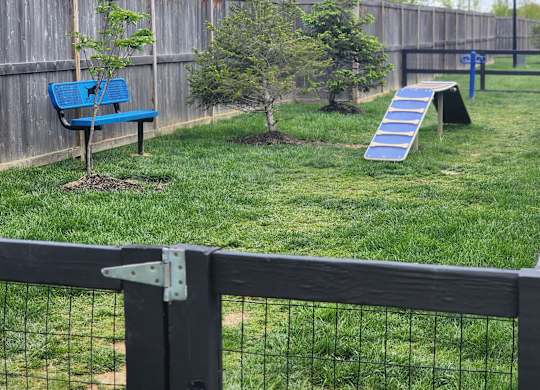 a backyard with a bench and a trampoline