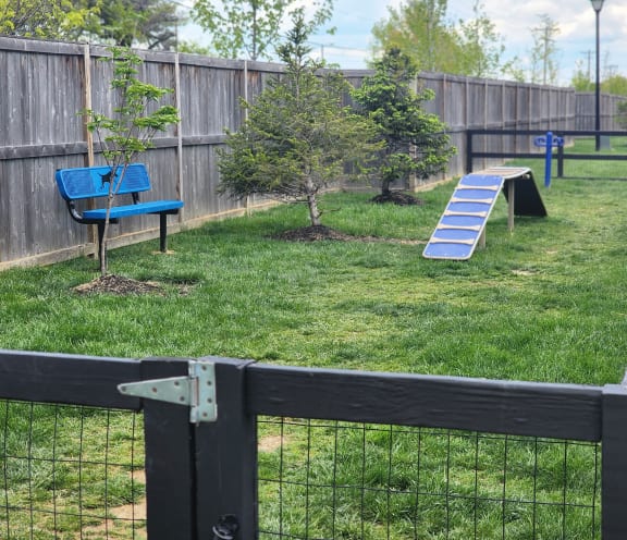 a backyard with a bench and a trampoline