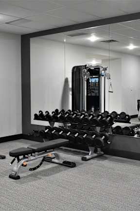 A gym with a variety of equipment including a squat rack, bench press, and dumbbells.