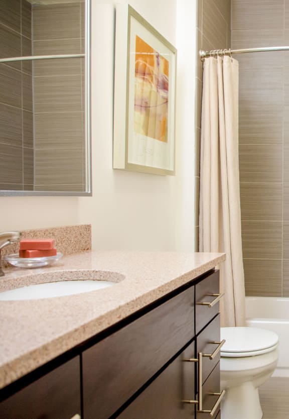 a bathroom with a toilet sink and bathtub at Metro Crossing Apartments, Owings Mills, Maryland
