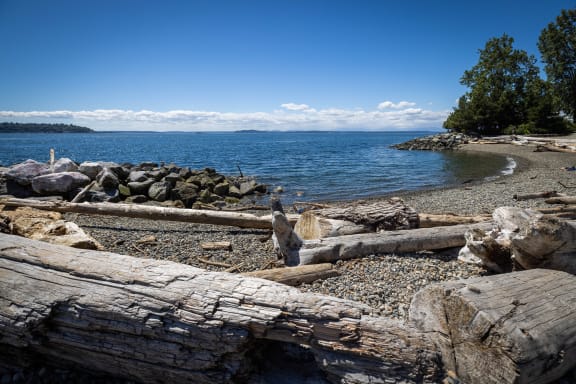 Rocky Beachfront near Seattle, Washington