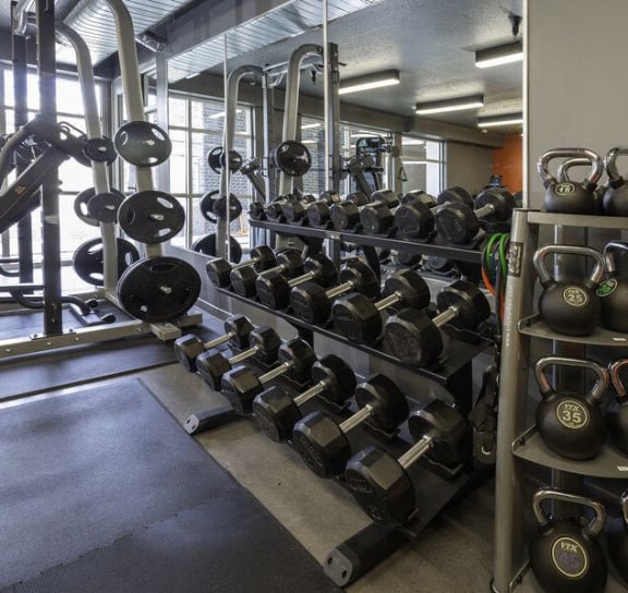 a rack of weights in a gym