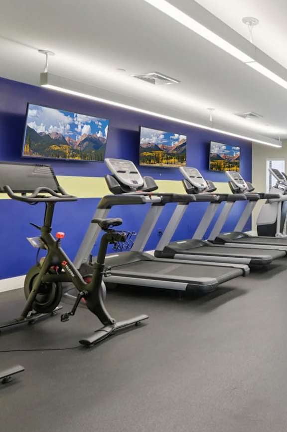 A gym with treadmills, exercise bikes, and weight machines.