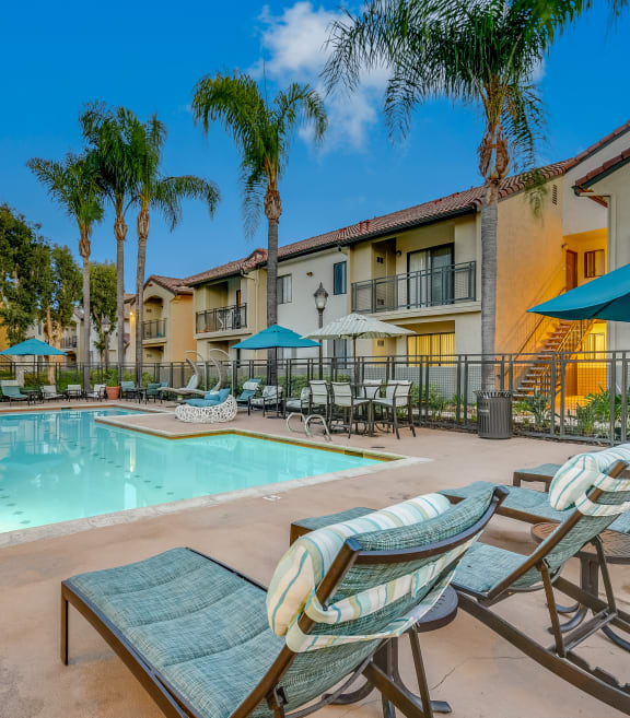 our resort style swimming pool is surrounded by our buildings and palm trees