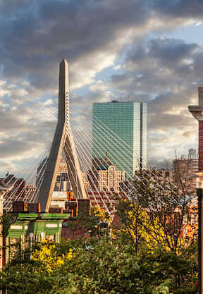 A cityscape with a large, modern bridge in the background.