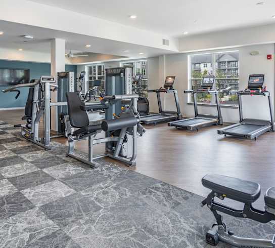 A spacious gym with a variety of equipment including treadmills, weights, and a bench press.