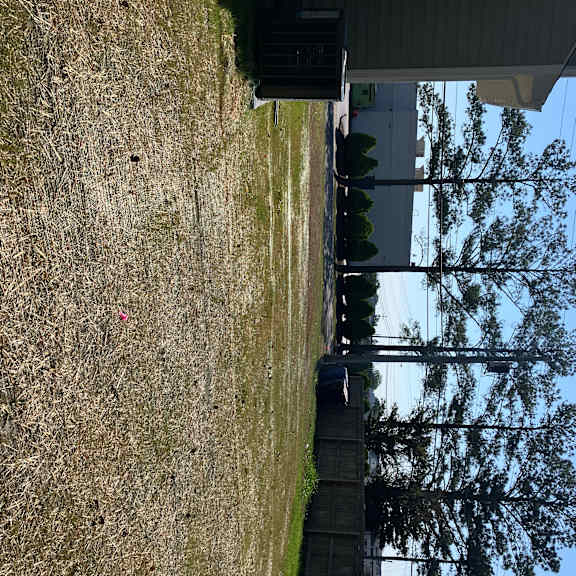 A person is standing on a sidewalk next to a grassy area.