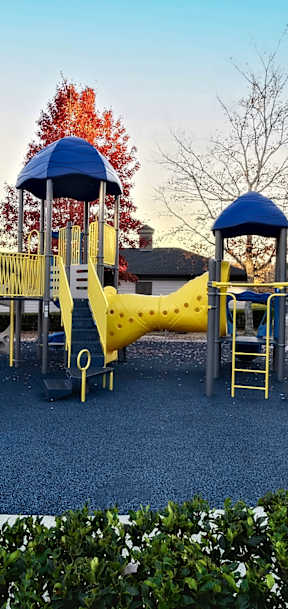 A playground with a blue slide and yellow slide.