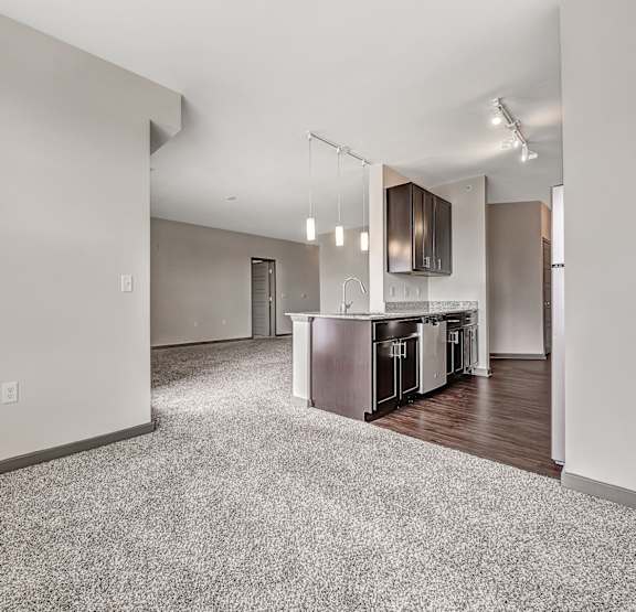 carpeted vacant living room with windows at Avellan Springs Apartments in Morrisville, NC 27560