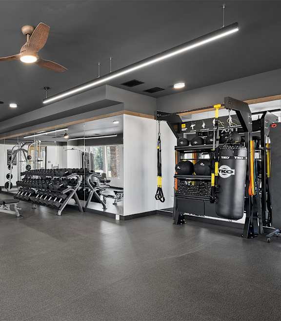 A spacious gym with a variety of equipment including treadmills, weights, and a ceiling fan.