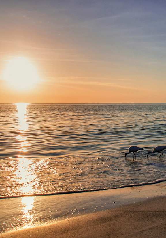 Sunset in Lido Key Beach Sarasota