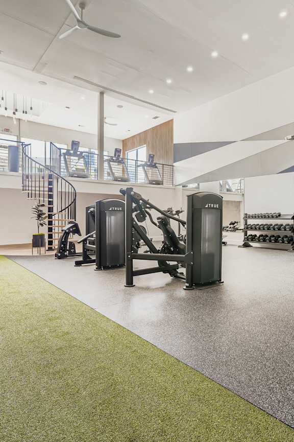 A row of treadmills are lined up in a gym. at Inkwell Greenhouse, Houston, 77084