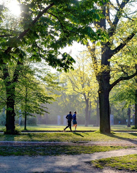 Two people walking in a park with trees on either side.