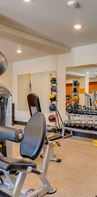 Everett, WA Apartments - The Waterline - Fitness Center Equipped With Strength Training Machines, Dumbells, Weighted And Yoga Balls, Mirrors, And Workout Bench