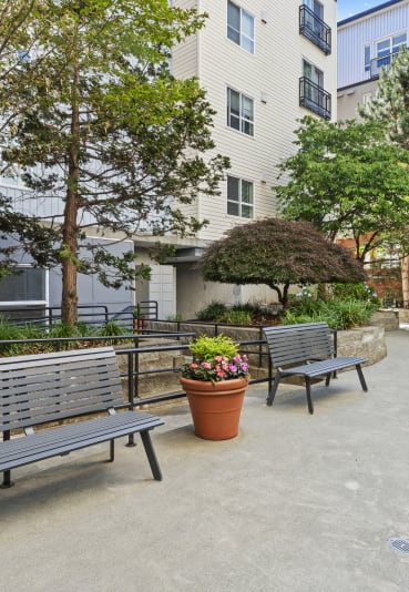 Outdoor Area at Promenade at the Park Apartment Homes in Seattle, WA