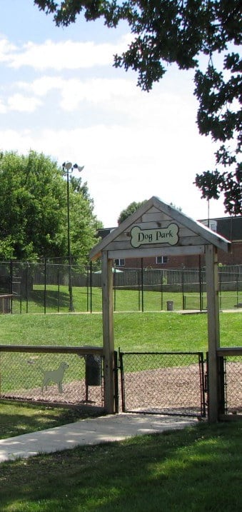 a park with a fenced in area and a dog