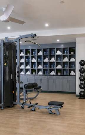 A gym with a variety of equipment including a squat rack, bench, and weights.