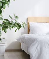 a bedroom with a white bed and a potted plant