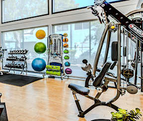 A gym with treadmills, exercise bikes, and weights.