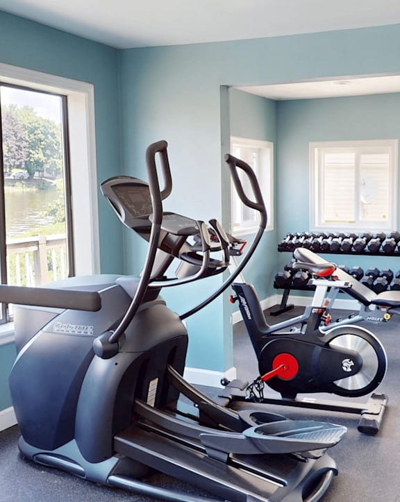 A gym with a treadmill, exercise bike, and weights.