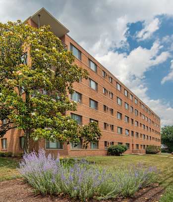 a building with a tree in front of it