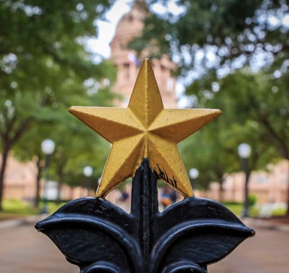 a gold star on top of a fence in a park