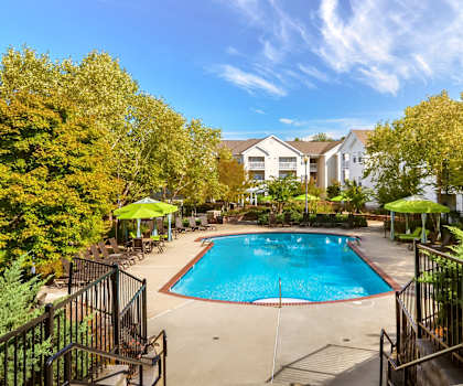 A pool surrounded by trees and a house in the background.