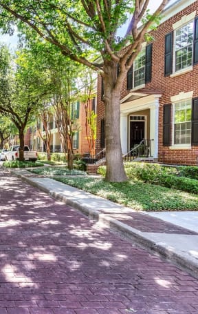 a brick road with trees in the middle