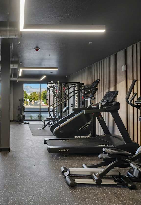 A gym with treadmills, weights and other equipment.