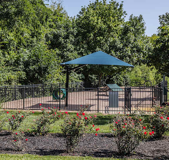 pet park with green agility equipment Bella Vista Apartments in Fishers, IN 46038