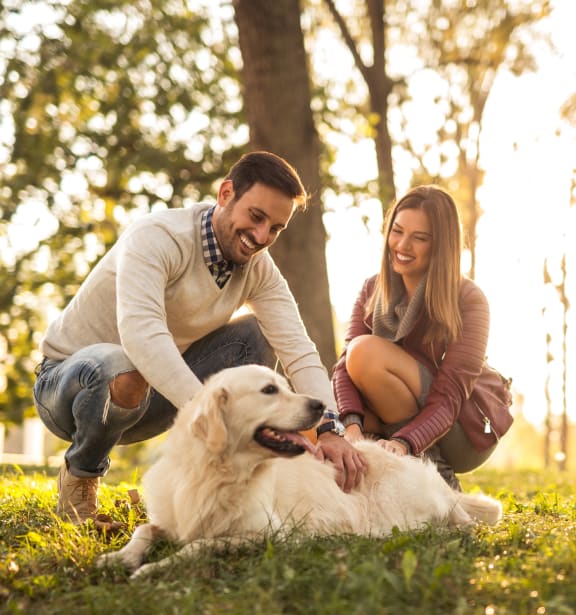young couple playing with their dog in the park