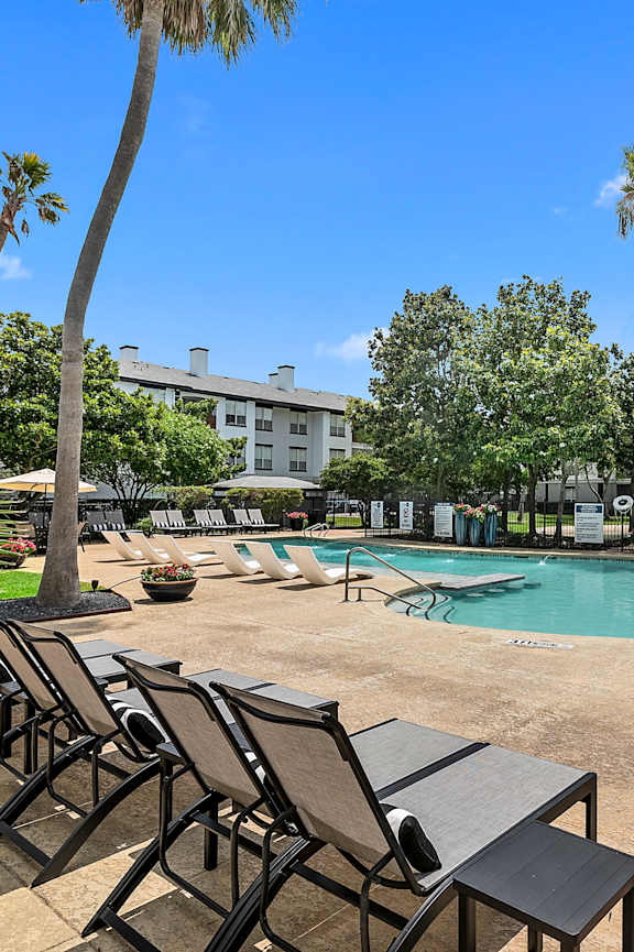 A pool surrounded by palm trees and lounge chairs.
