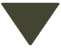 a green upside down triangle on a white background