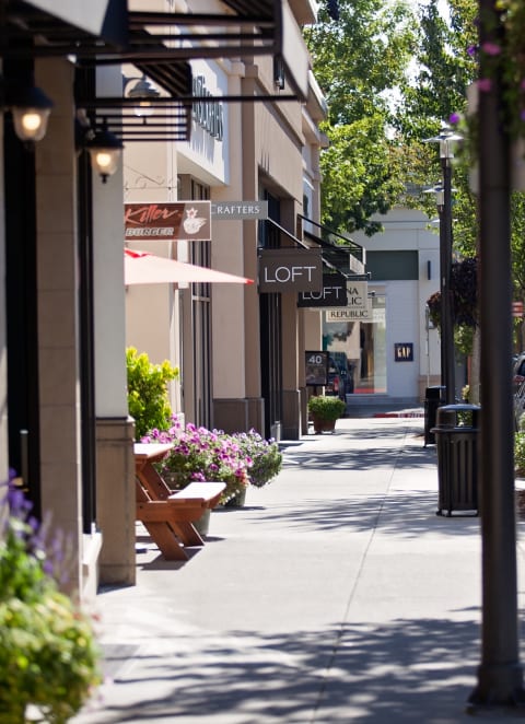 Street View  at LionsGate South, Hillsboro, Oregon