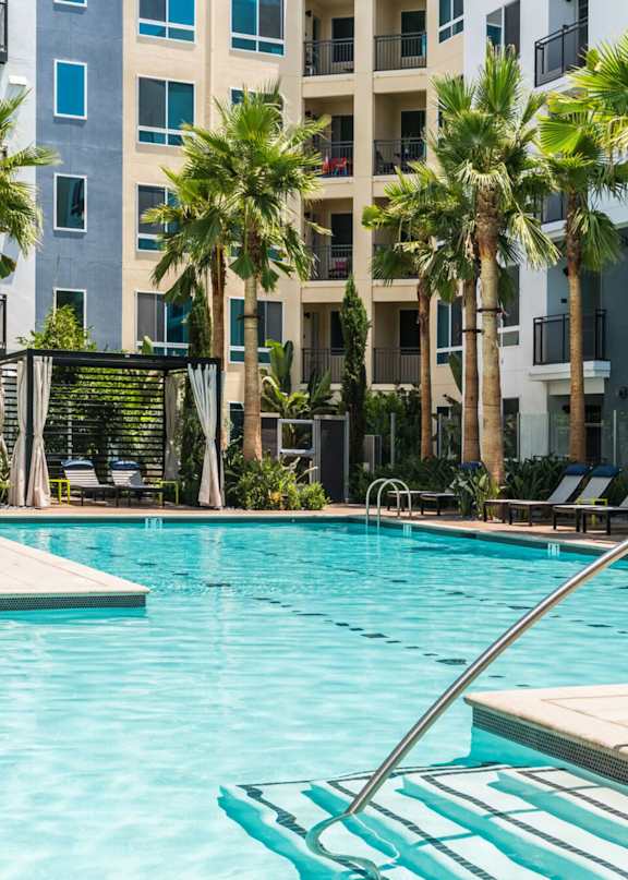 A swimming pool surrounded by palm trees and lounge chairs.
