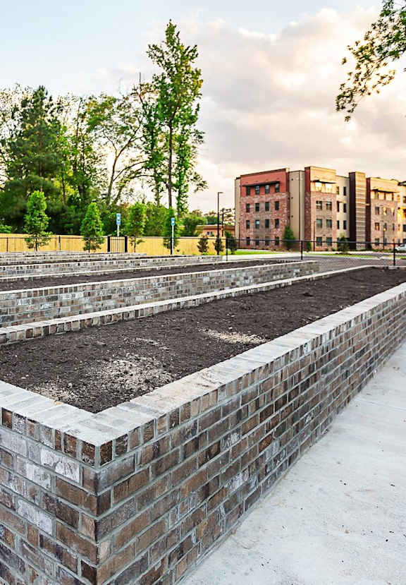 A row of raised garden beds are lined up in a row.