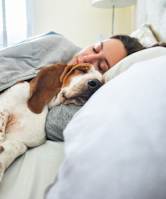 A dog is sleeping on a bed with a person.