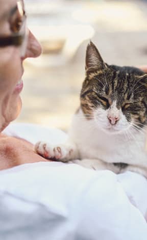 a woman is holding a cat on her lap