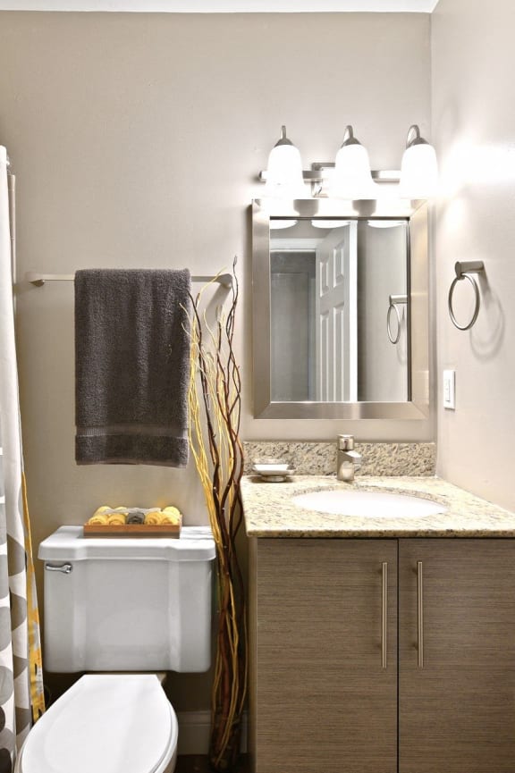 Updated master bathroom at Heritage Hill Estates Apartments, Cincinnati, Ohio 45227